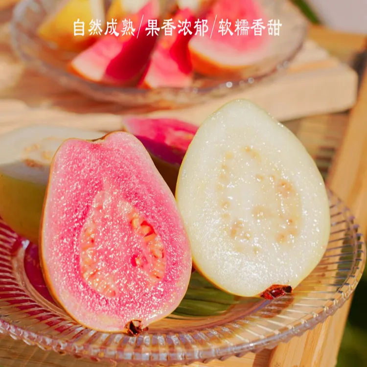 福建软糯软心当季新鲜红心白心番石榴芭乐现采现卖，顺丰包邮