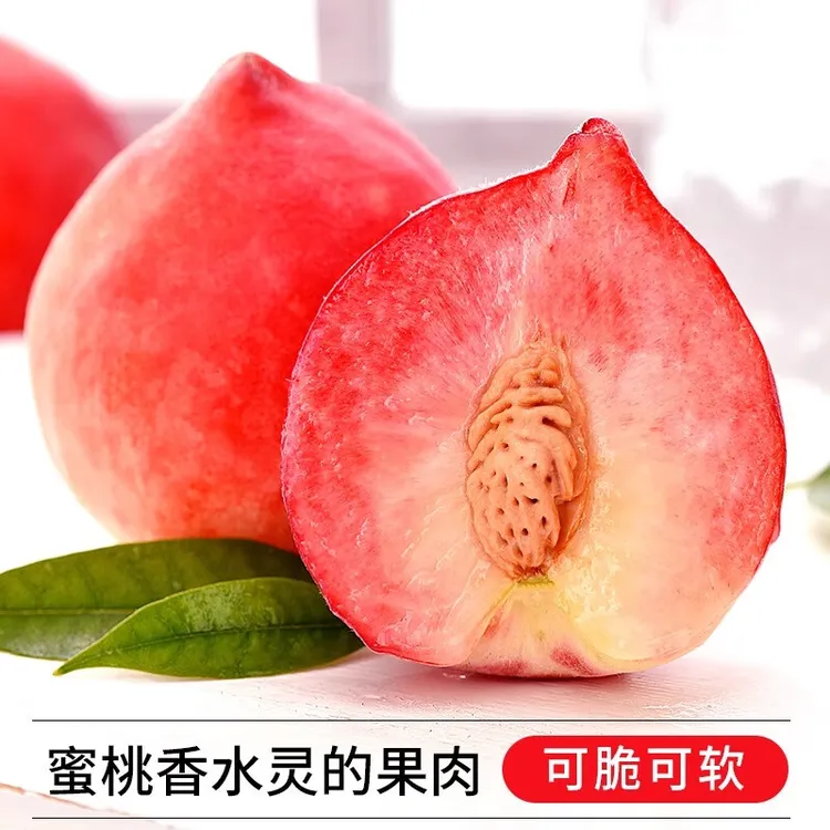 水蜜桃软硬脆桃水蜜桃脆甜现摘现发水蜜桃2斤装（5-8）枚