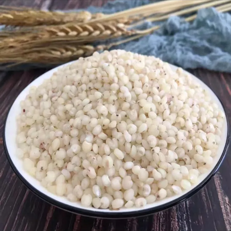 【笨高粱米】 米中精品 5斤 粗粮杂粮 朱碌科双印高粱米