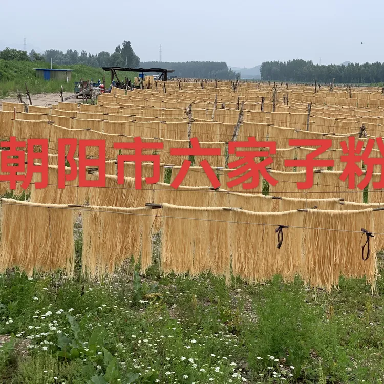 【龅牙妹专属】朝阳六家子手工粉条5斤宽细可选