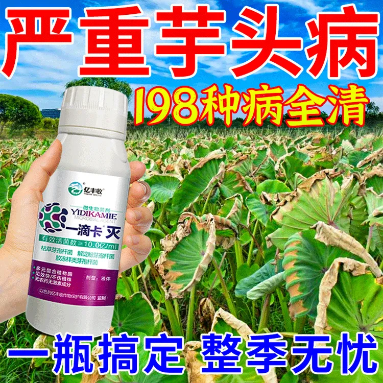 芋头病专用药烂叶斑点疫病霜霉病铜钱病芋瘟病全治防治杀菌剂正品