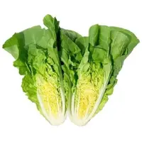 【蔬菜】翠玉白菜约500g