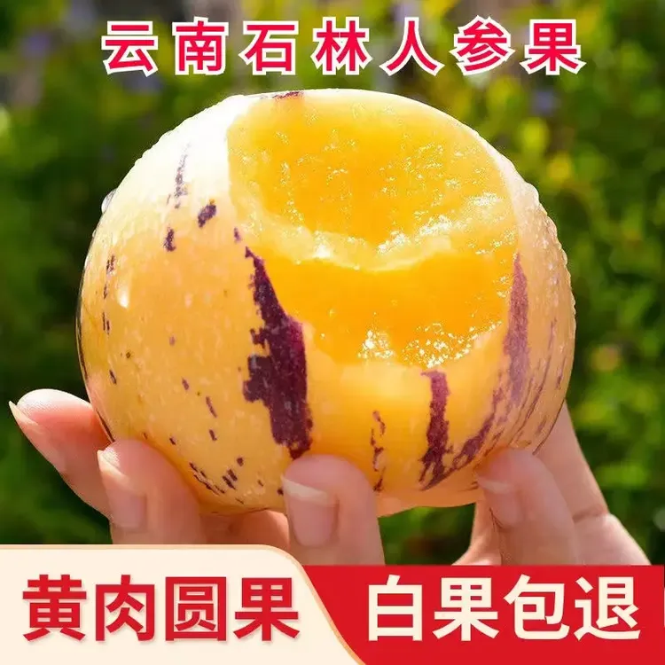 【精选圆果】云南石林人参果香甜黄心圆果新鲜当季孕妇水果清甜黄肉