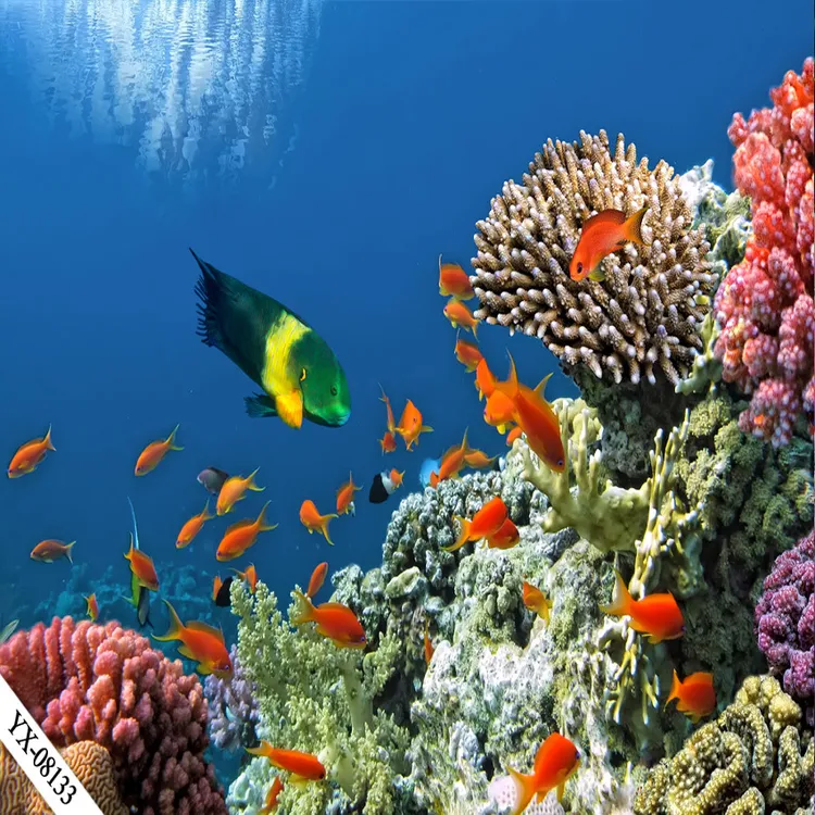 直播背景布海洋世界海洋生物主播室内直播布置高清逼真质感背景布