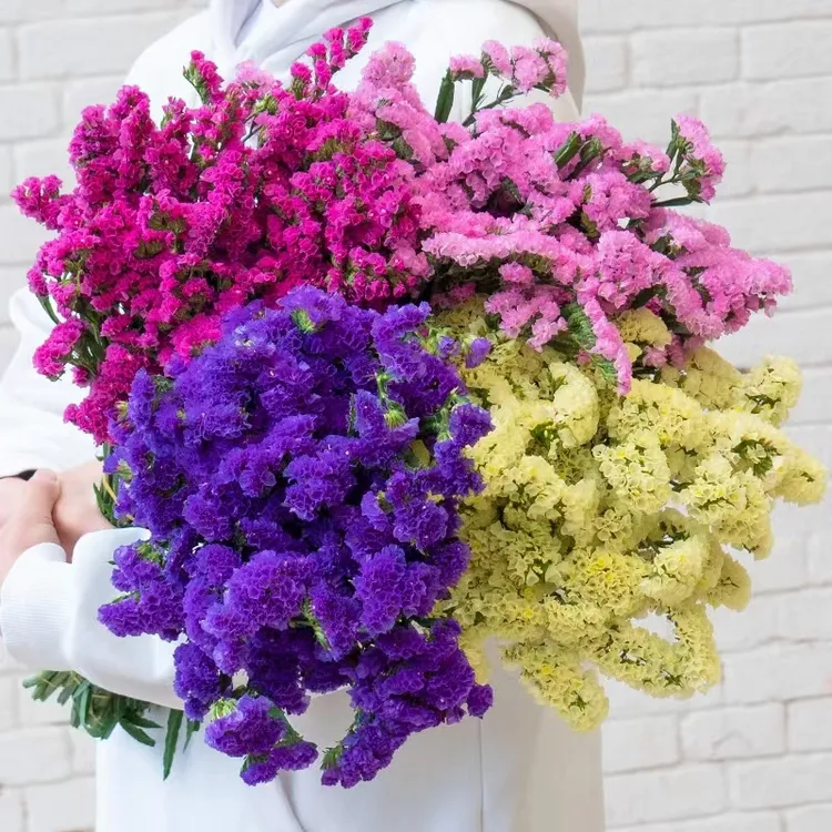 勿忘我大花束【买一束送一束】新鲜花束家庭干花百搭干花真花风干