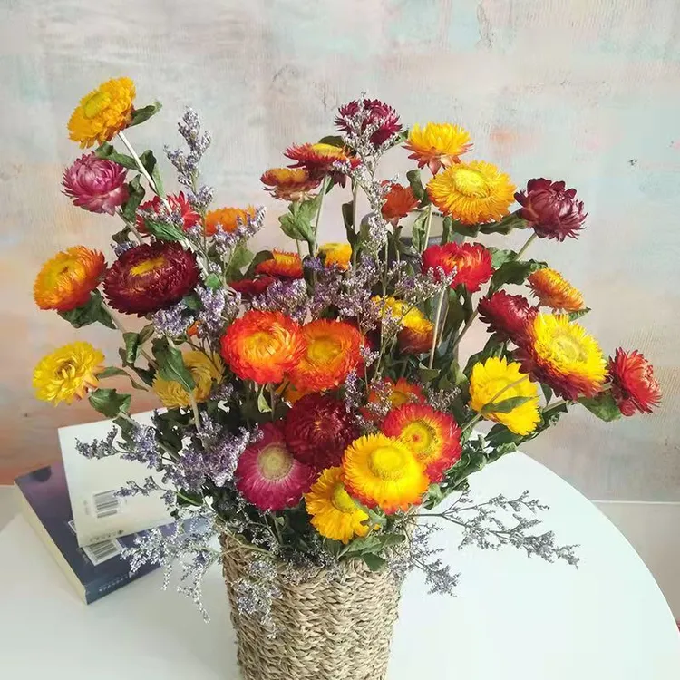 七彩小雏菊向日葵干花花束永生花家居摆设家庭插花装饰花朵道具