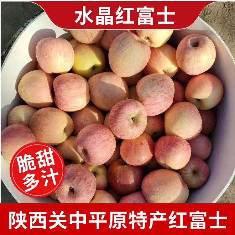 【 90/95果王】精选6个特大果王头茬酸甜红富士苹果现摘包邮