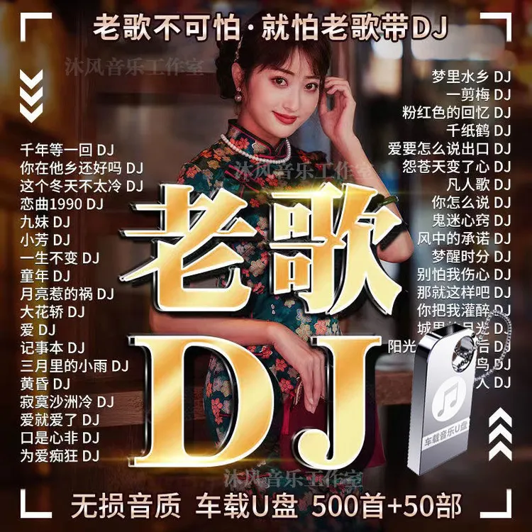 【重明鸟】中文老歌DJ舞曲U盘2024抖音热门新歌DJ无损音质