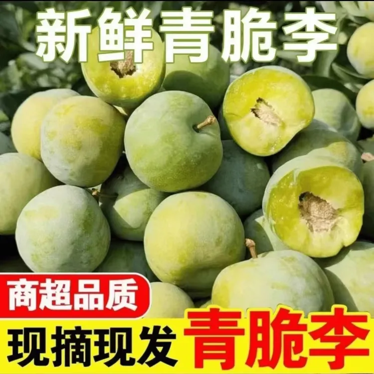 正宗四川清脆脱骨李新鲜采摘现摘现发到手五斤