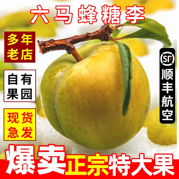【娜姑娘专属】日常别拍正宗贵州六马蜂糖李子现货礼盒装1/3/5