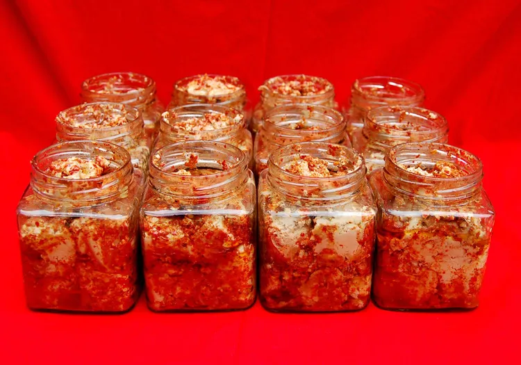 豆类传统古方纯手工制作河南特产香辣  微辣农家豆腐乳