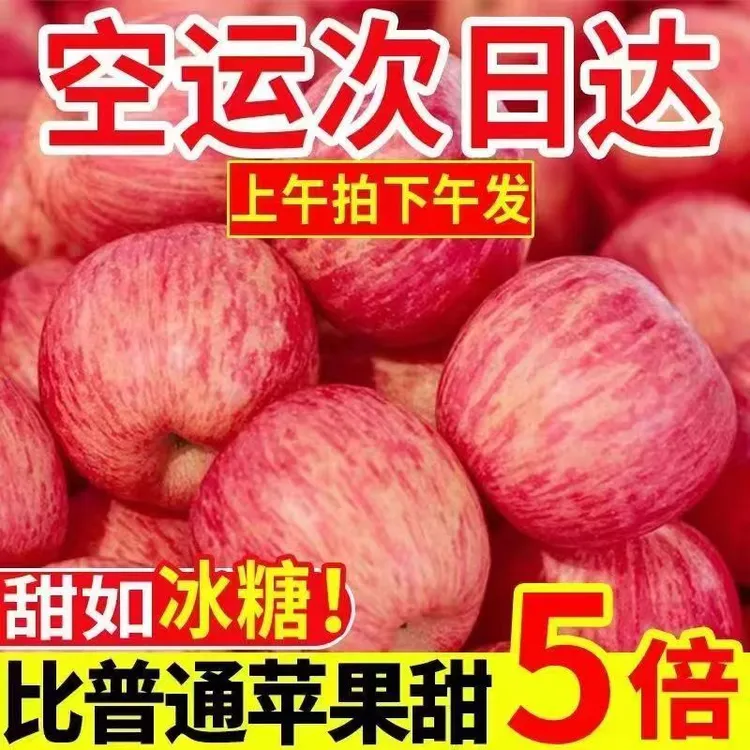 山西冰糖心苹果水果新鲜红富士10斤批整箱万荣当季现摘脆甜丑萍果