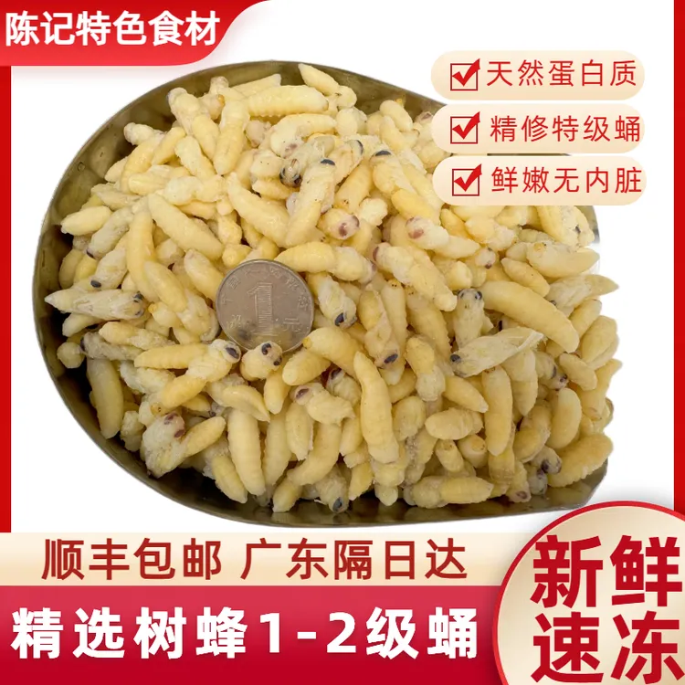 精选树蜂12级蜂蛹新鲜速冻特级蜂蛹葫芦蜂马蜂蛹高蛋白食用马蜂蛹