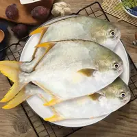 【小鱼儿】金鲳鱼 400克-450克/条*5条 新鲜海鱼 肉质鲜嫩 清蒸红烧