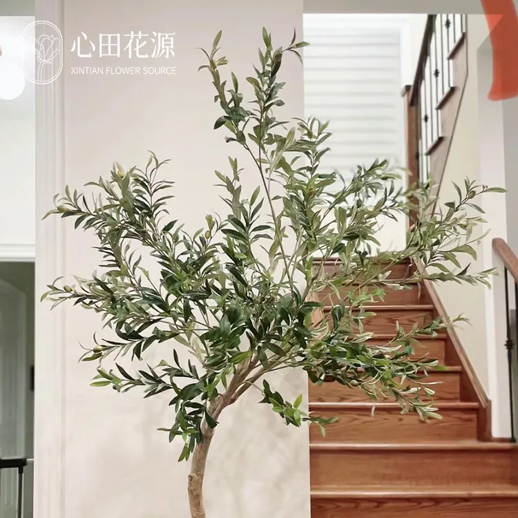 油橄榄棒棒糖常绿地中海风情i北欧ins绿色花卉庭院木本花卉盆栽