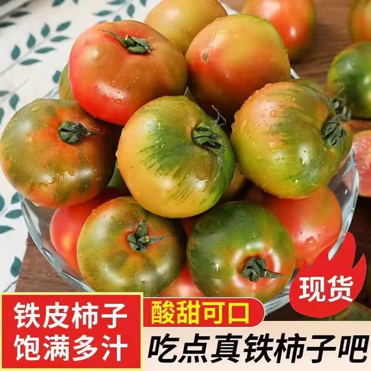 正宗东北特产盘锦碱地铁皮西红柿草莓柿子水果西红柿孕妈级