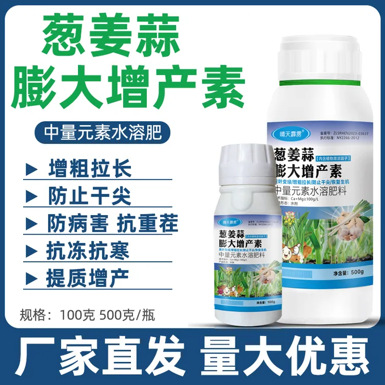 大葱小葱葱姜蒜病害干尖黄叶韭菜大葱香葱干尖褐斑病软腐病正品