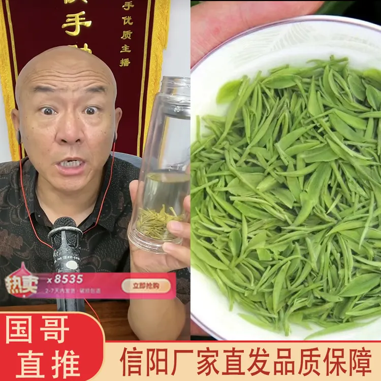 国乐（国哥同款）信阳毛尖雨前芽叶高山2025年浓香浓香型新茶茶叶