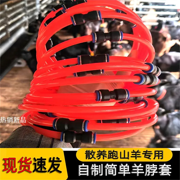 羊铃铛带项圈羊用自动扣裁剪羊铃铛脖套养殖用记号牌耐用脖环脖绳