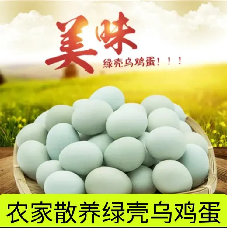 正宗绿壳鸡蛋乌鸡蛋青壳鸡蛋自产新鲜农产品农家