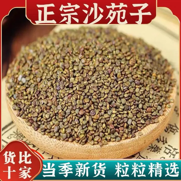 精选 沙苑子 陕西产区颗粒饱满泡水