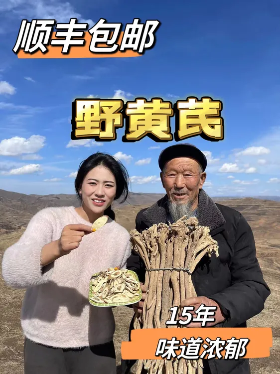 《野黄芪》15年左右老黄芪多年生切片甘肃岷县北芪泡水煲汤打豆浆蔻