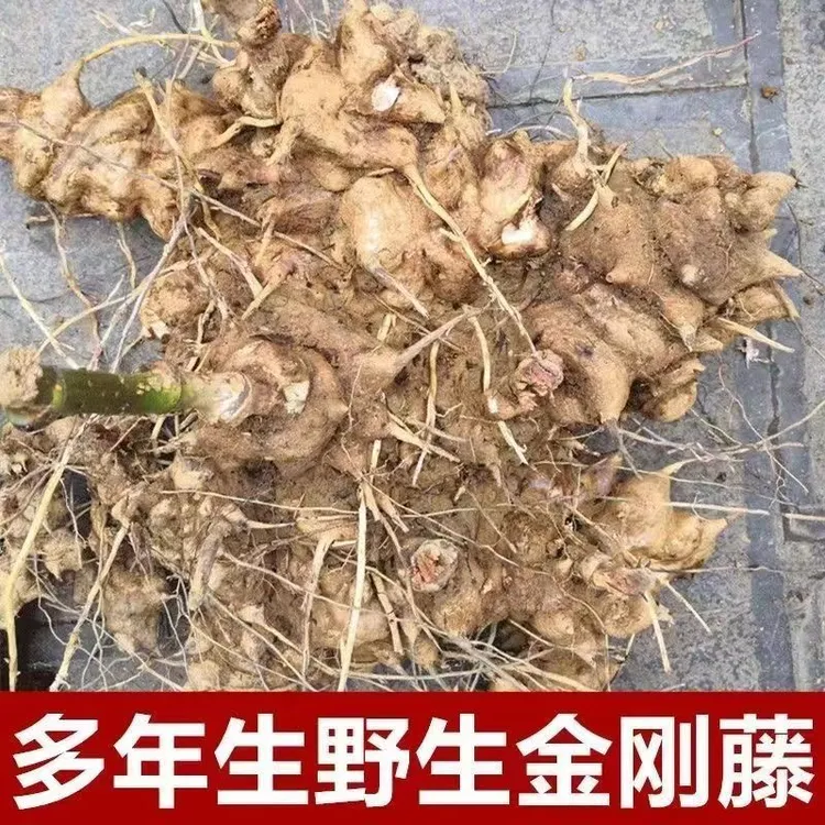 金刚头中药材金刚藤 菝葜 拔契 金刚刺 泡酒料  野生包邮红肉煲汤