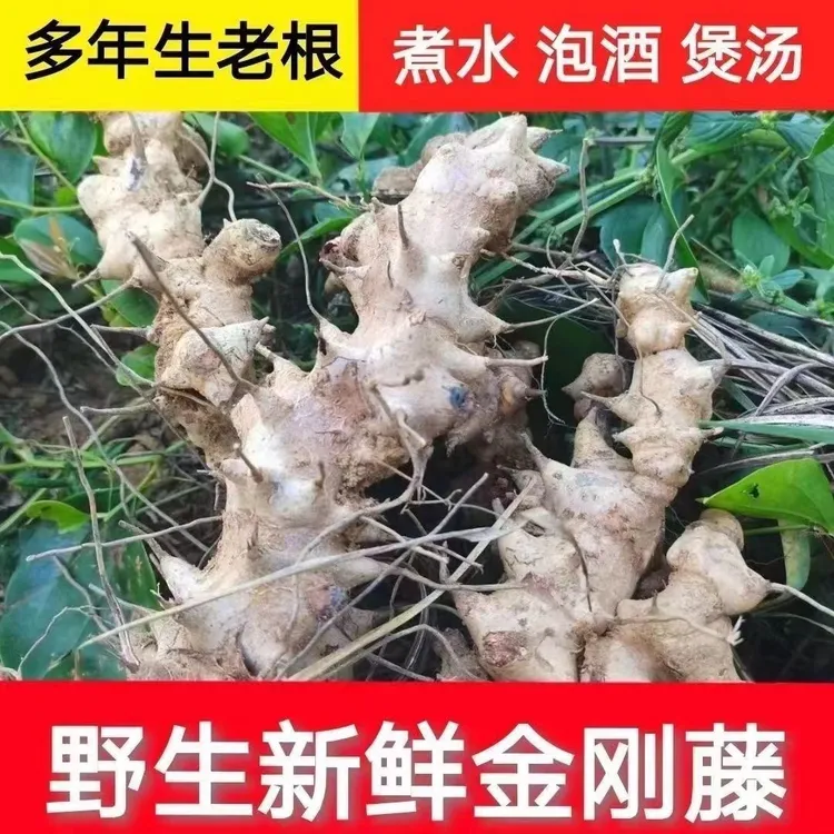 【野生金刚藤】农村现挖新鲜金刚藤刺菝葜铁菱角煲汤泡酒金刚头天然