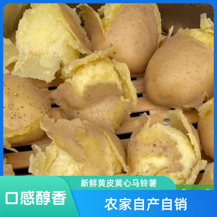 2025新鲜甘肃定西黄皮黄心旱沙地土豆净重包邮粉面洋芋马铃薯