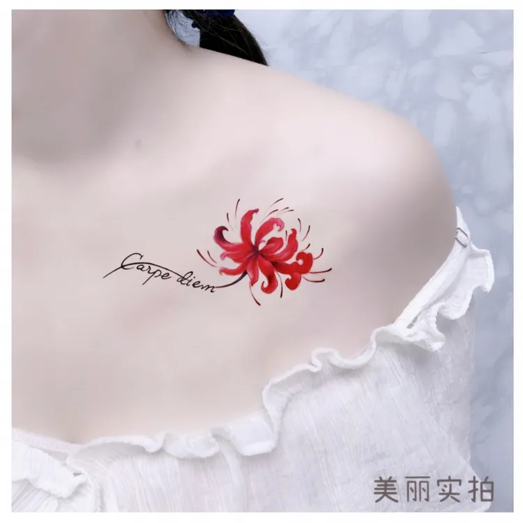 拍1发2【普通贴纸*新款彼岸花CS-23款】10*15cm防水，简单，好看，好贴