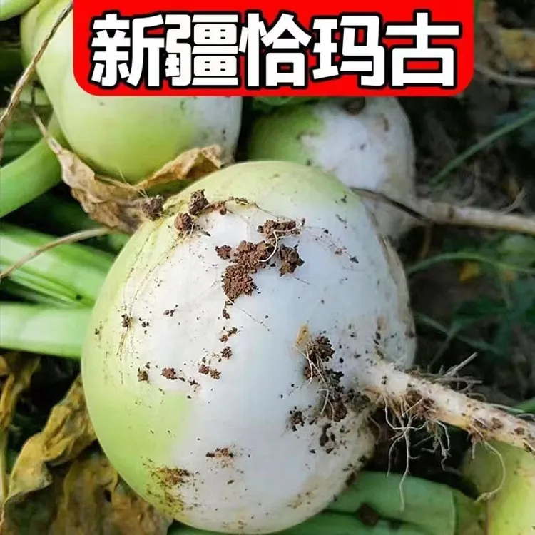 新疆特产恰玛古3斤/5斤 现采现发 新疆直发 初级农产品 炖肉