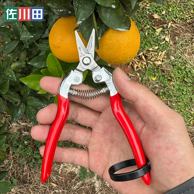 佐川田采果剪疏果剪脐橙疏花剪修花修枝剪柑橘子花椒采摘果剪刀