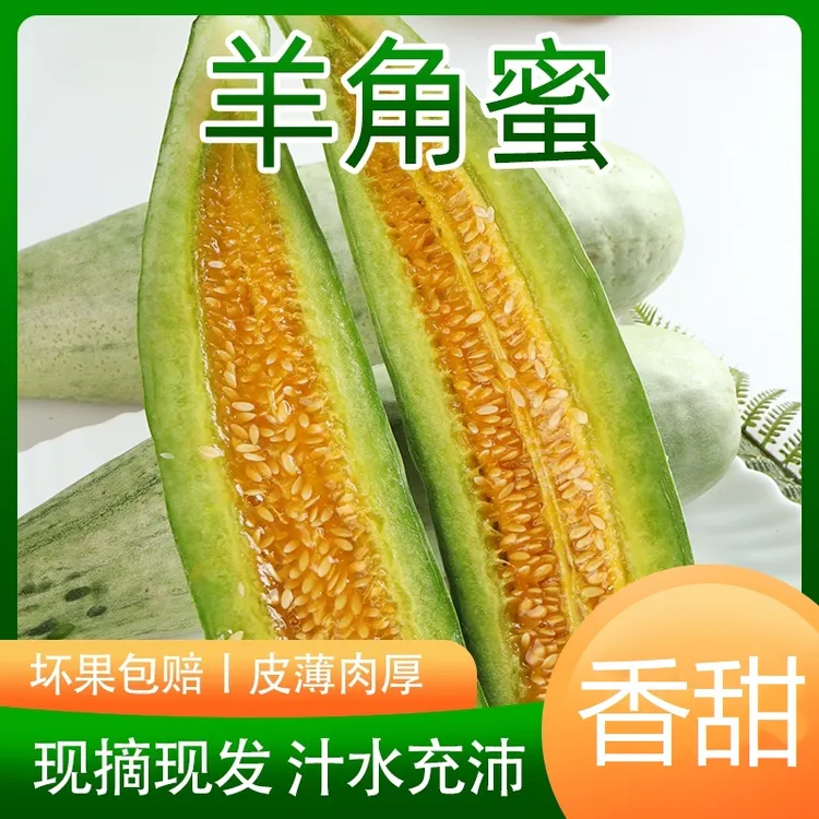 现摘山东羊角蜜甜瓜新鲜水果薄皮当季脆瓜蜜瓜香甜脆嫩美味香瓜