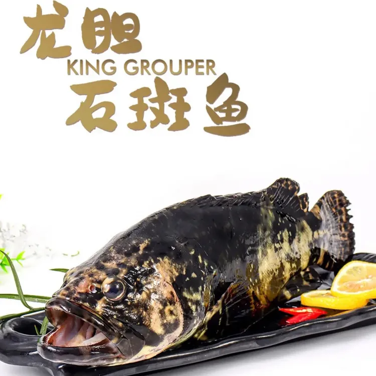 石斑鱼4.5斤-5斤/条装新鲜营养深海鲜嫩锁鲜石斑鱼批发珍珠龙胆