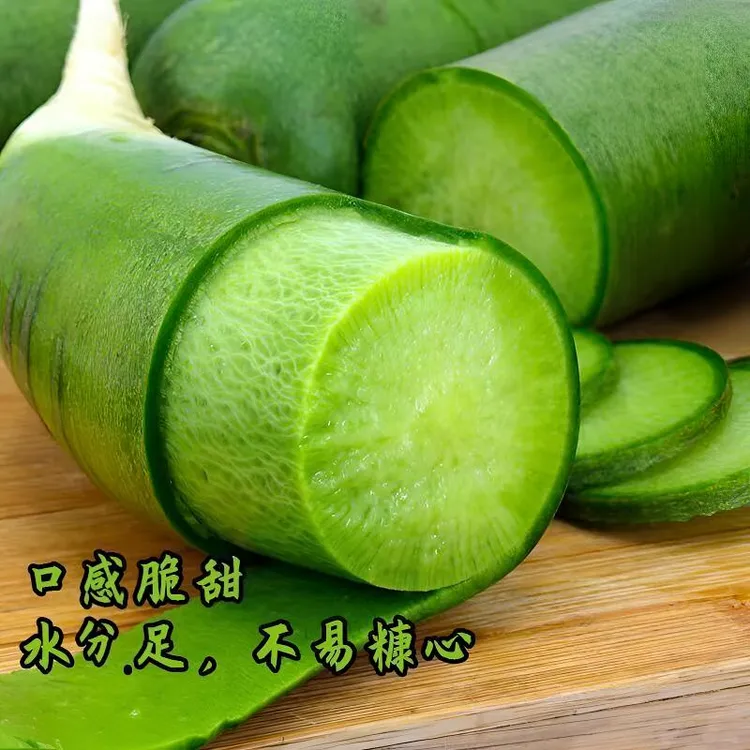 潍坊水果萝卜产地种植绿色生态脆甜多汁微微辣产地直发新鲜沙窝