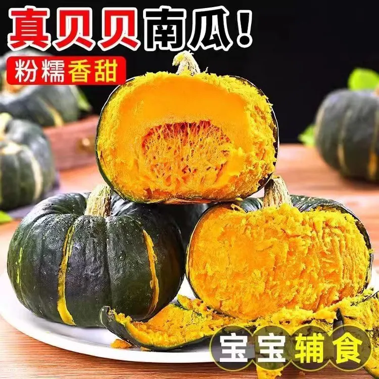 正宗粉糯香甜贝贝南瓜板栗味新鲜营养宝宝辅食粗粮代餐
