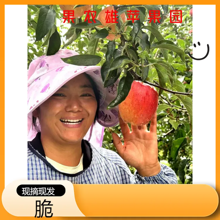 云南昭通老树丑苹果