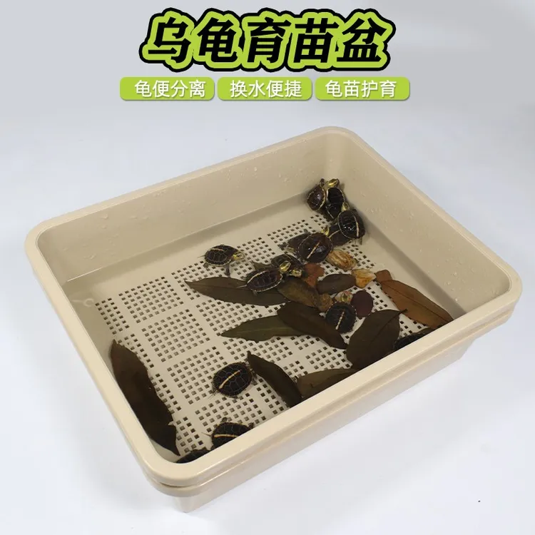加高加大号开放式乌龟育苗盆饲养盆双层过滤粪便多用途宠物猫砂盆
