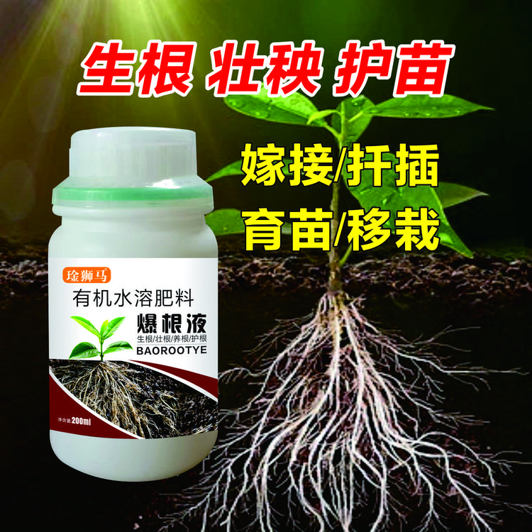爆根液让作物根系发达 主根增粗 侧根增多 爆发式生根