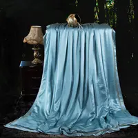 【粉丝专享】大地蓝真丝蚕丝被100桑蚕长丝真丝面料纯色轻奢夏凉被