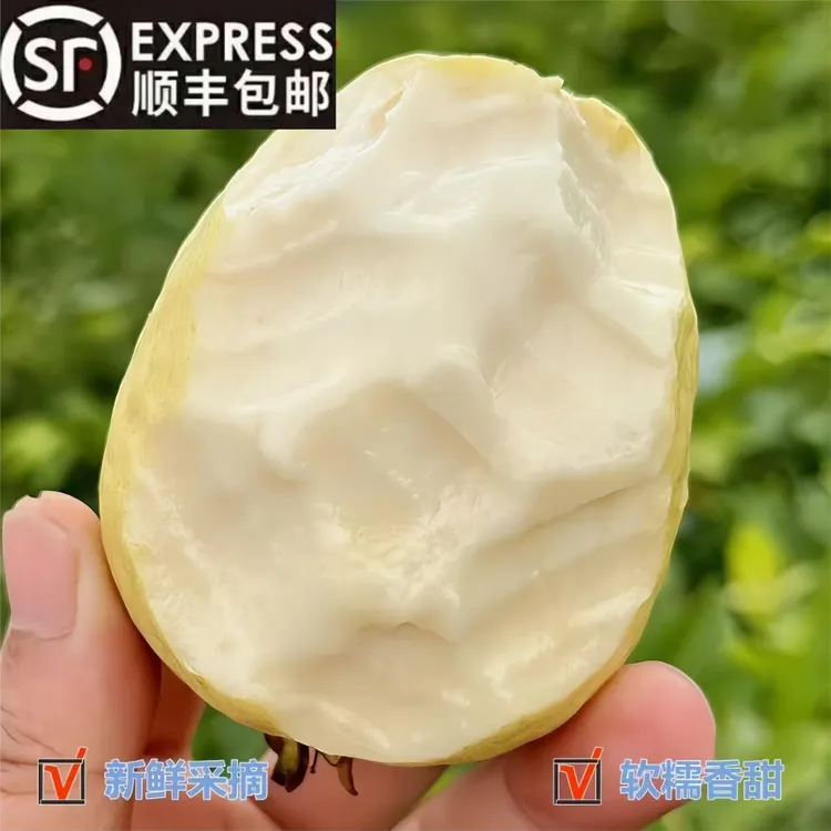 【精品奶油芭乐大果】广西老树高端白心芭乐番石榴水果1/3/5斤净重
