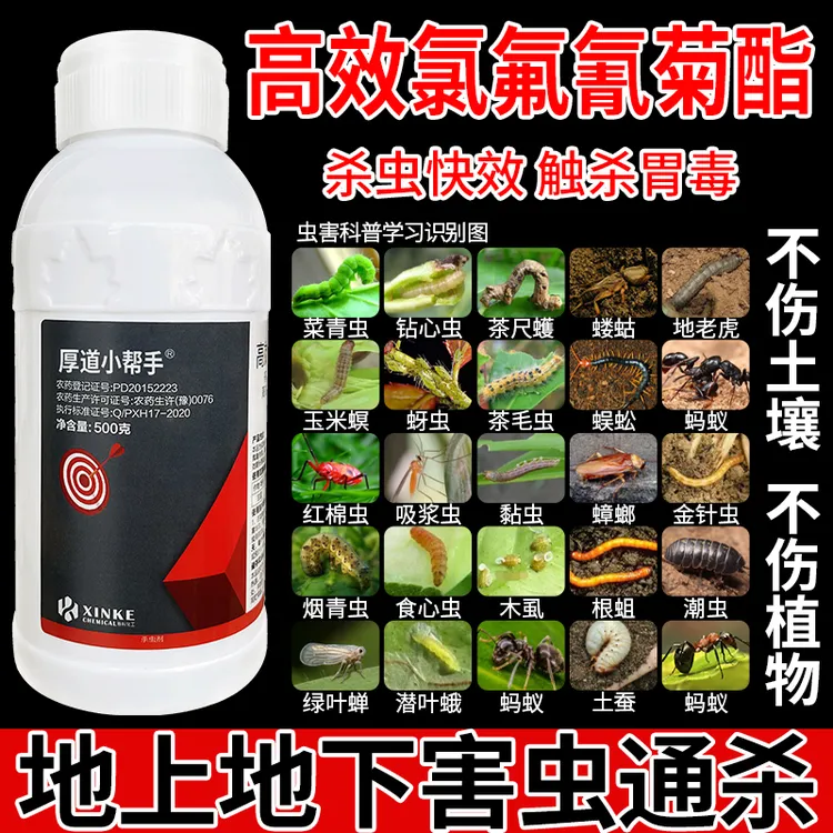 高效氯氟氰菊酯农用杀虫剂喷雾蚜虫青虫红蜘蛛小菜蛾果树蔬菜大田