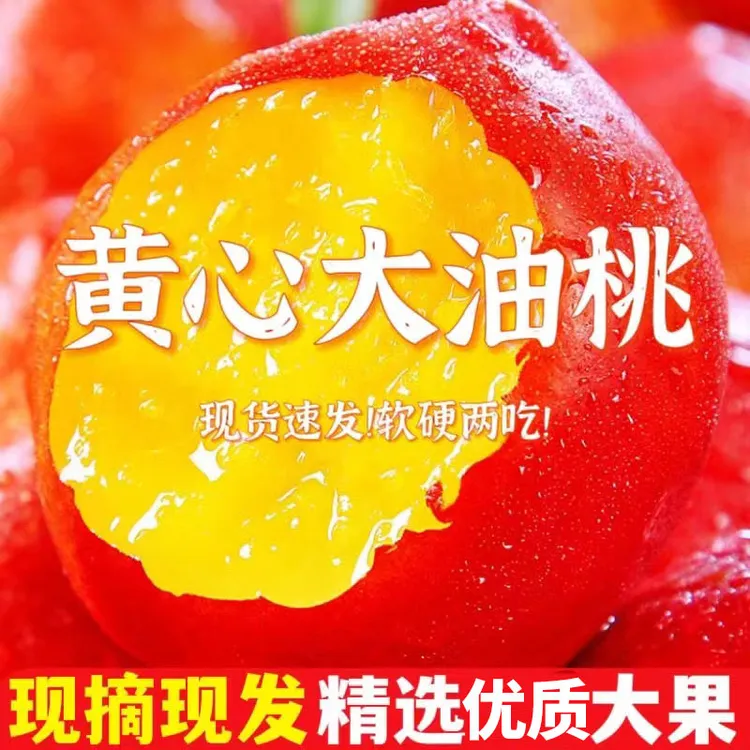 山东黄心大油桃软硬两吃【现摘现发】甜脆多汁4.5-5斤当季水果彩箱