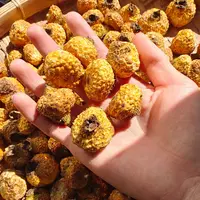 云南天然山货 刺梨 冻干 100g