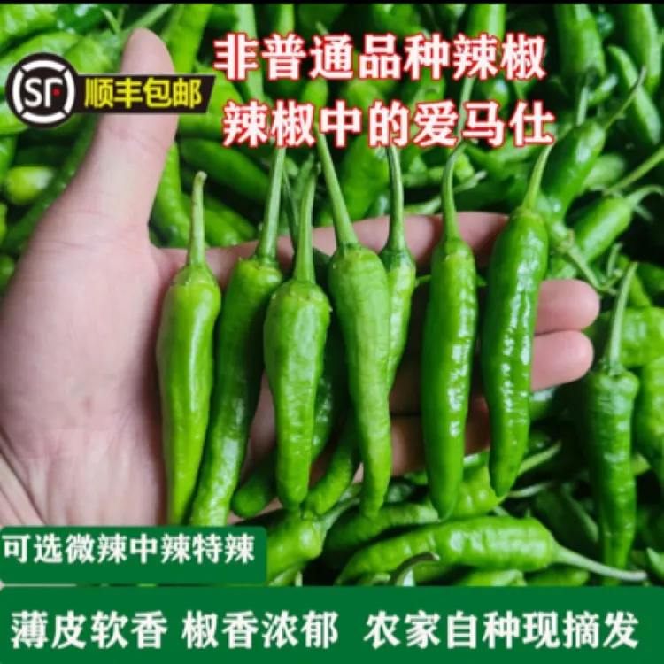 【顺丰包邮】樟树薄皮辣椒新鲜富晒辣椒现摘现发新鲜农家特辣青辣椒