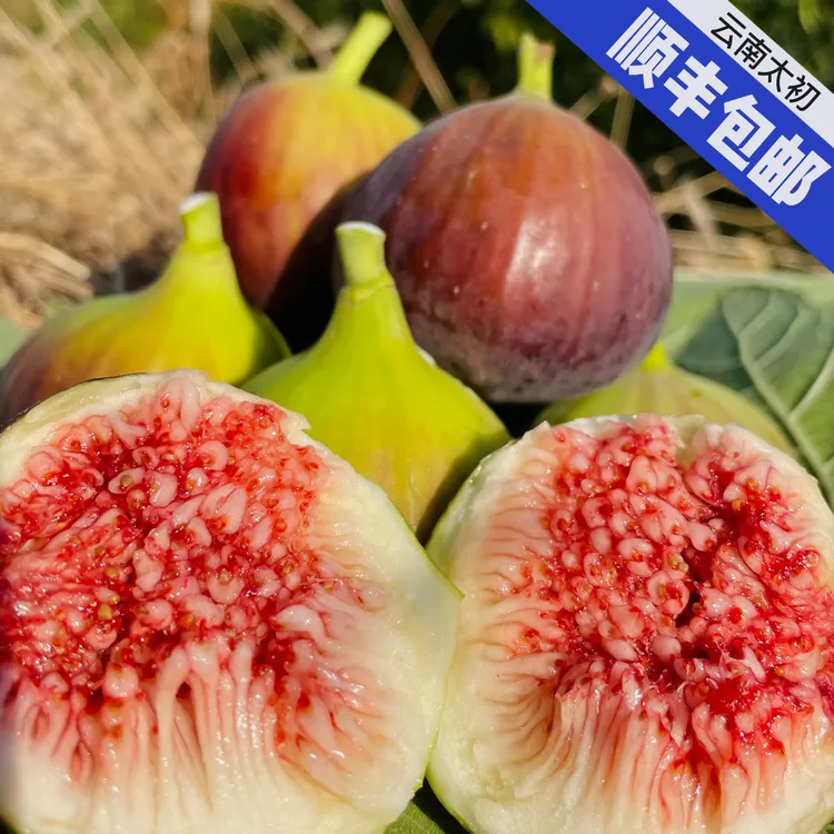 ［顺丰包邮］云南新鲜无花果鲜果现摘饱满精选大果1-5斤