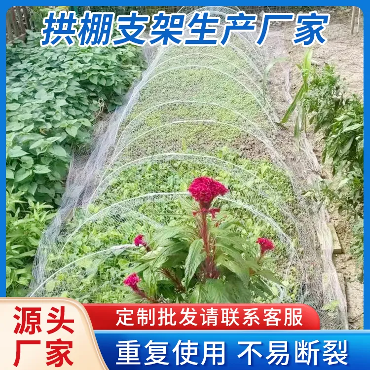 温室大棚支架农用拱棚支架玻璃钢纤维杆菜棚花棚种植棚骨架耐腐蚀