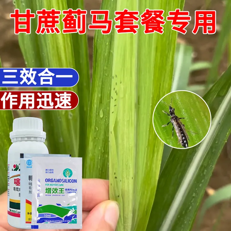 甘蔗蓟马专用套餐蚜虫抗性蓟马花蓟马黑蓟马专用杀虫剂套装