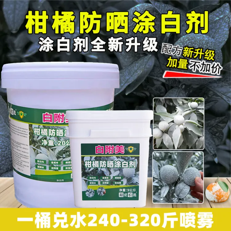 柑橘防晒涂白剂沃柑防日灼太阳果防虫补钙防裂果柑橘防晒喷白剂