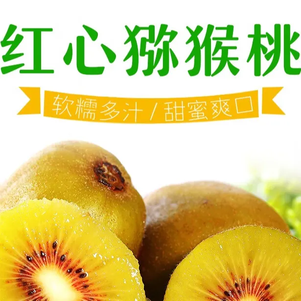 红心猕猴桃 新鲜猕猴桃 新鲜直发 软糯香甜 产地直发 vc含量高